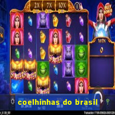 coelhinhas do brasil